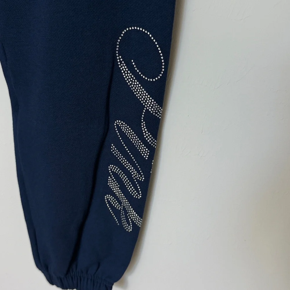 VS Pink Ivy Fleece Relaxed Sweatpants